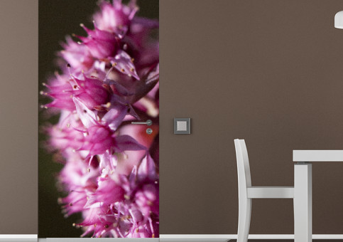 Habillage de porte Fleurs de printemps