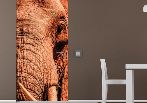 Habillage de porte Portrait éléphant 2