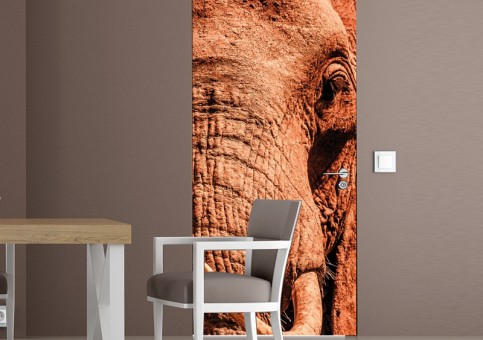 Habillage de porte Portrait éléphant 2