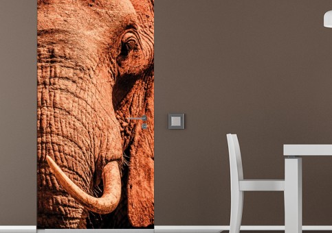 Habillage de porte Portrait éléphant 2