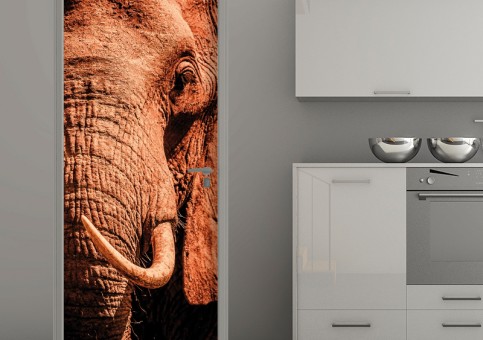 Habillage de porte Portrait éléphant 2