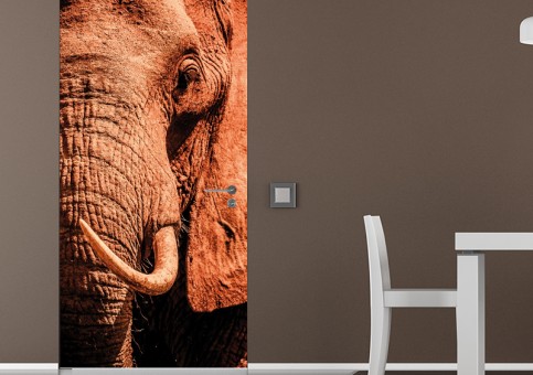 Habillage de porte Portrait éléphant 2