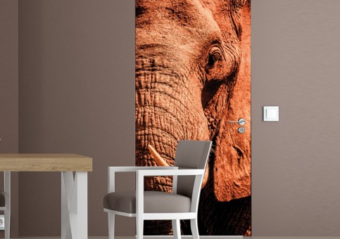 Habillage de porte Portrait éléphant 2