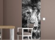 Habillage de porte Portrait lion