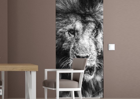 Habillage de porte Portrait lion