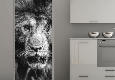 Habillage de porte Portrait lion