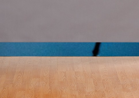 Plinthes personnalisées Oiseau Tisserin