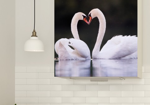 Magnet XXL Coeur de cygne