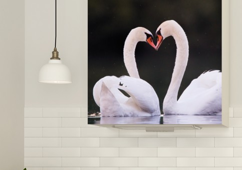 Magnet XXL Coeur de cygne