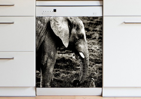 Magnet XXL Eléphant et suricate