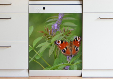 Magnet XXL Papillon