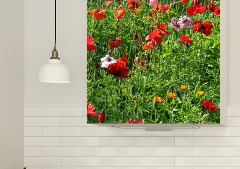 Magnet XXL Coquelicots