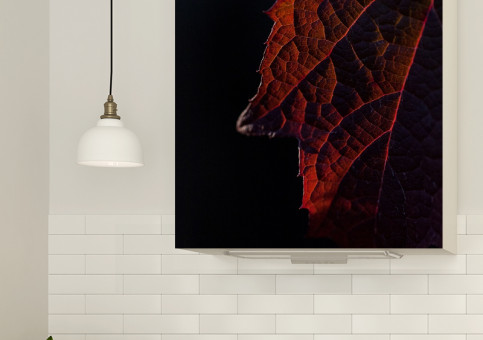 Magnet XXL Feuille rouge sur fond noir