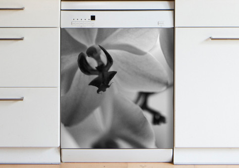 Magnet XXL Orchidée 1