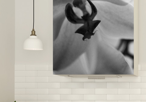 Magnet XXL Orchidée 1