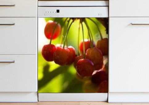 Magnet XXL Cerises