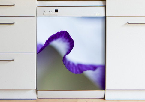 Magnet XXL Iris