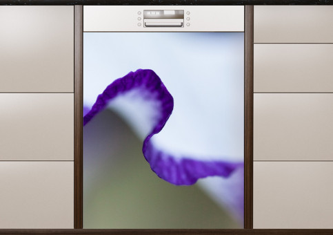 Magnet XXL Iris