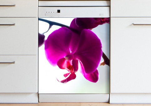 Magnet XXL Orchidée 2