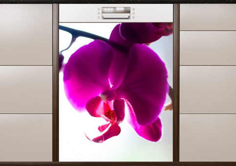 Magnet XXL Orchidée 2