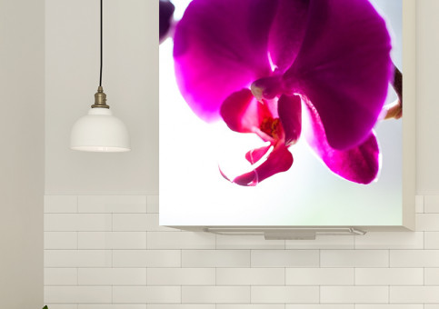 Magnet XXL Orchidée 2