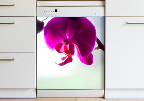 Magnet XXL Orchidée 2