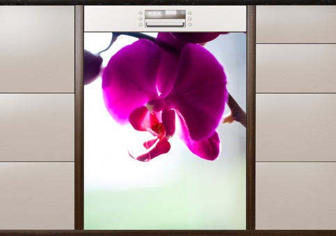 Magnet XXL Orchidée 2