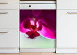 Magnet XXL Orchidée 3