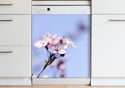 Magnet XXL Fleur de Prunus 2