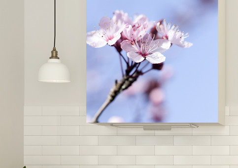 Magnet XXL Fleur de Prunus 2
