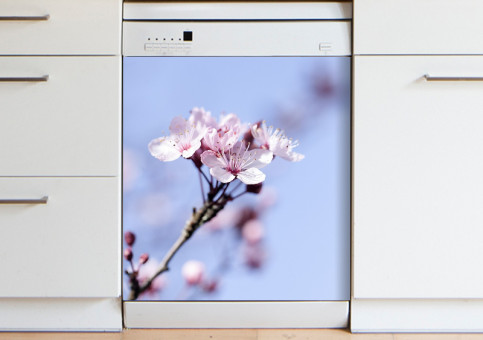 Magnet XXL Fleur de Prunus 2