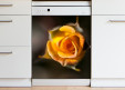 Magnet XXL Rose jaune en bouton
