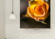 Magnet XXL Rose jaune en bouton