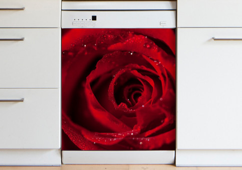 Magnet XXL Rose Dr Watson 1