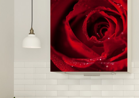 Magnet XXL Rose Dr Watson 1