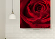 Magnet XXL Rose Dr Watson 1