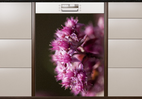 Magnet XXL Fleurs de printemps