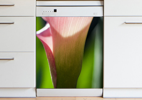 Magnet XXL Fleur De Calla