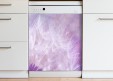  Purple dandelion