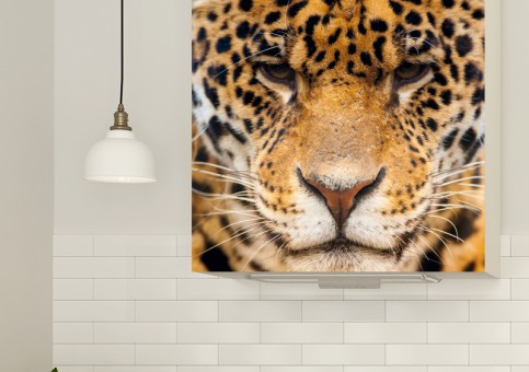 Magnet XXL Portrait Léopard