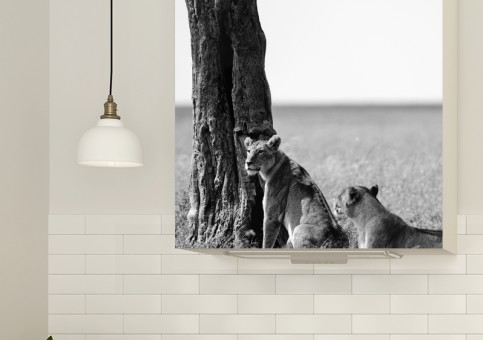 Magnet XXL Bande de lions