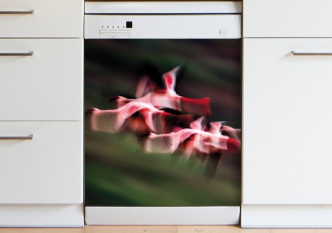 Magnet XXL Vol de flamands