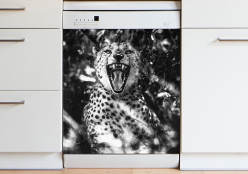 Magnet XXL Portrait de Guépard 