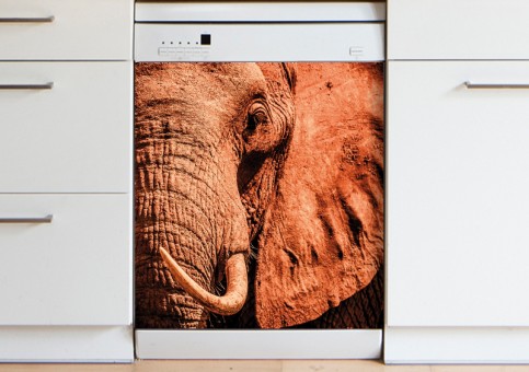 Magnet XXL Portrait éléphant 2