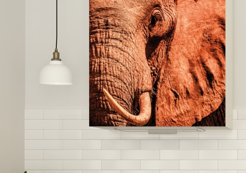 Magnet XXL Portrait éléphant 2