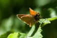 Crédence Papillon Sylvaine 1